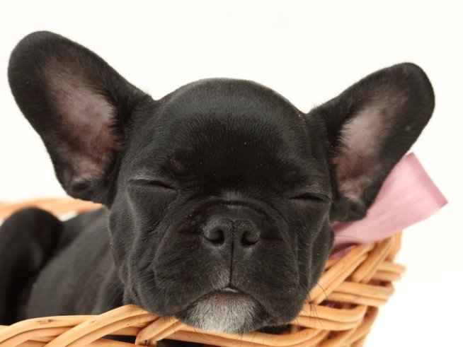 Снимка: photl.com