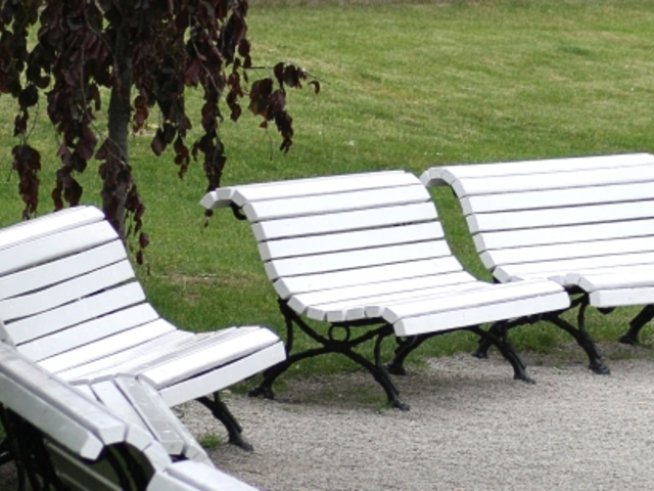 Семейни забавления и игри в парка