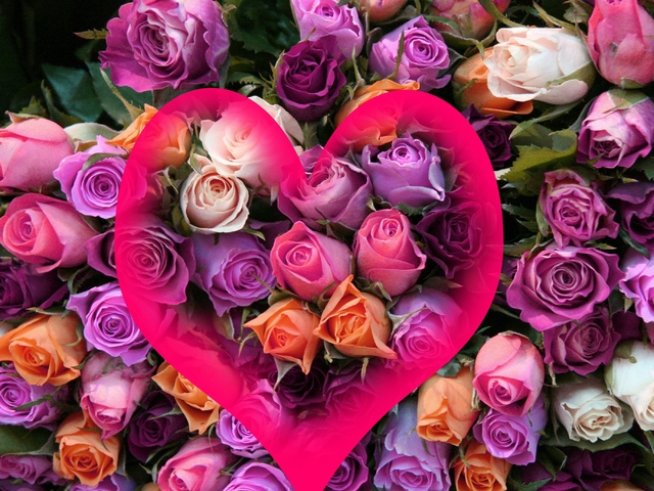 Снимка: Sxc.hu