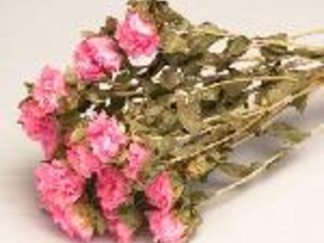 Значението на цветята