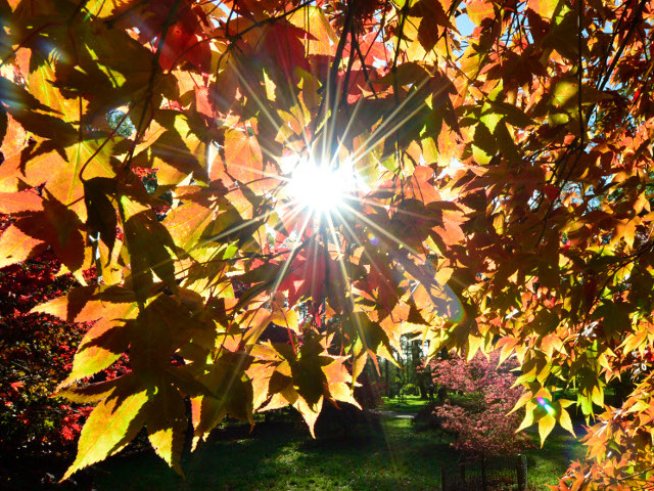 Любовни есенни рими – 15-а част