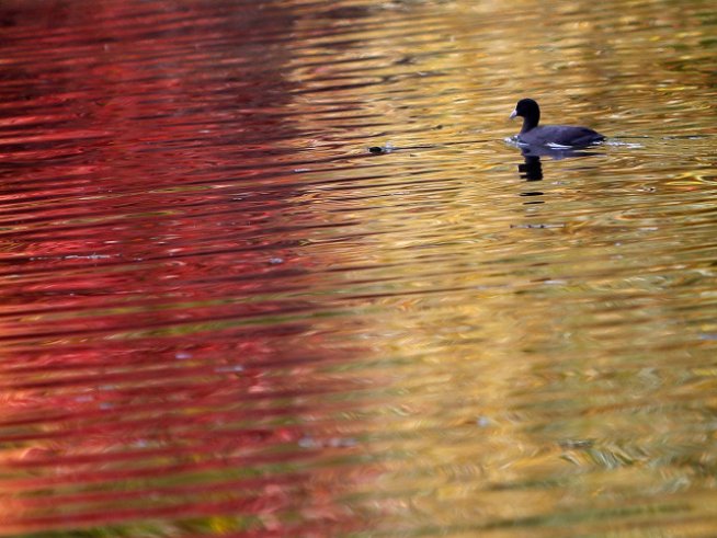 Любовни есенни рими – 16-а част