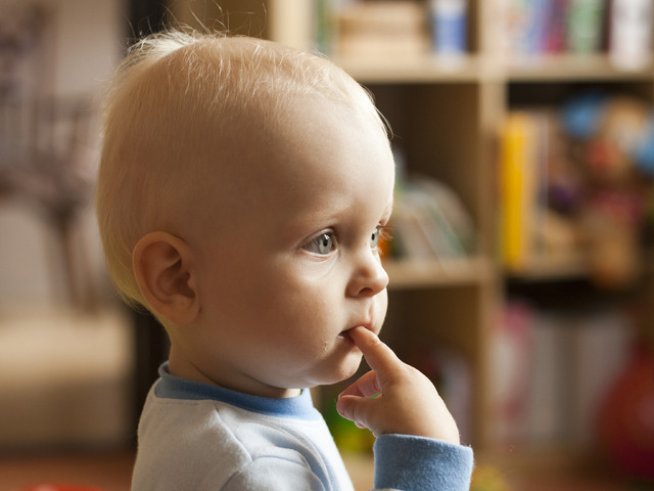 Снимка: Sxc.hu