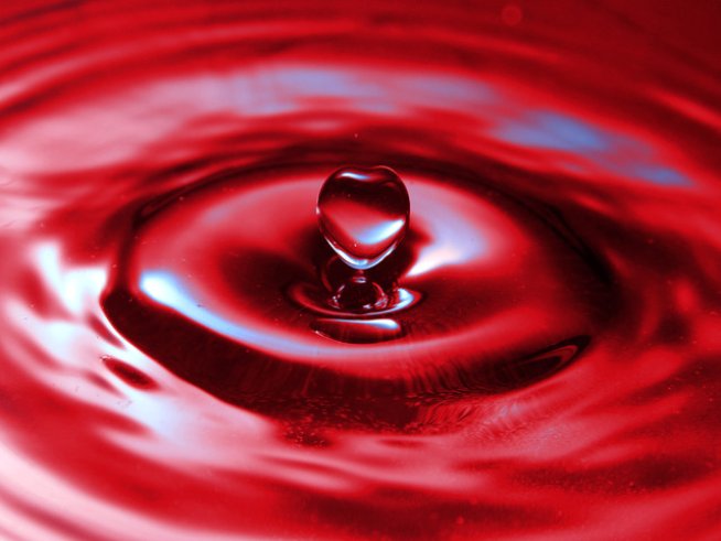 Снимка: Sxc.hu