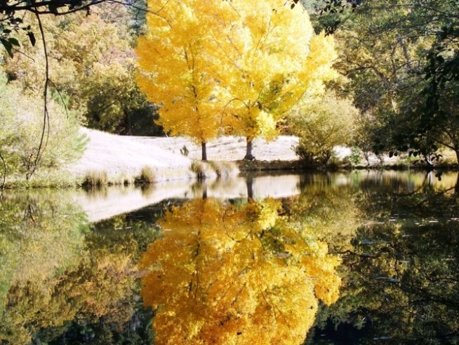 Снимка: Sxc.hu