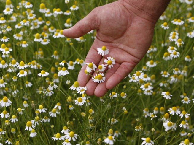 Снимка: Reuters
