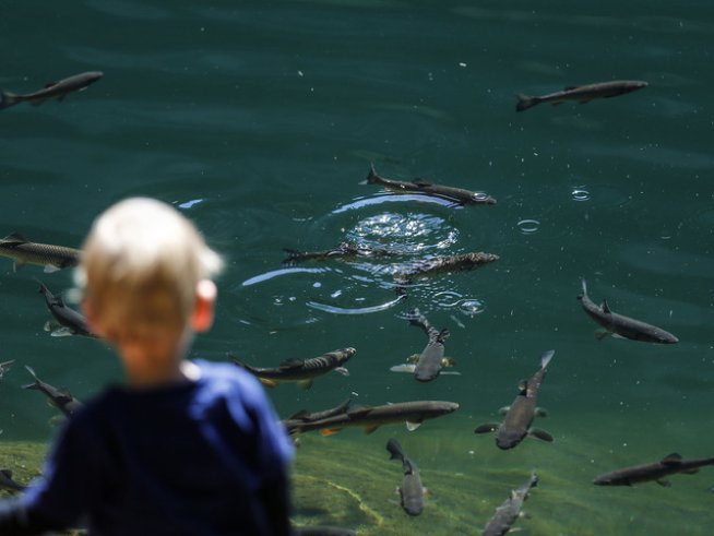 Снимка: Reuters