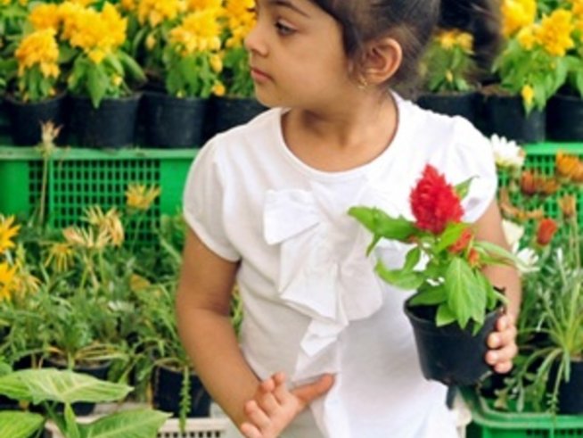 Как да пестим вода, когато поливаме цветята в жегите