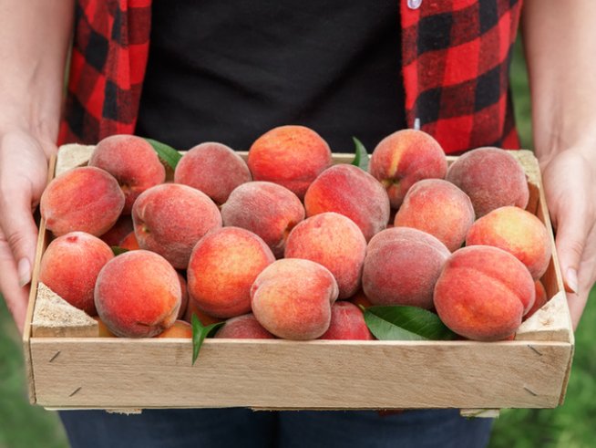 Снимка: istock