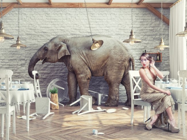 Снимка: iStock