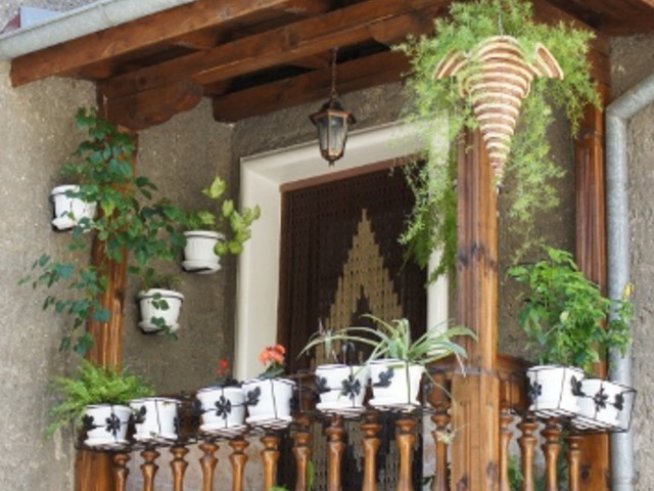 Висящите кошници – цвят и настроение