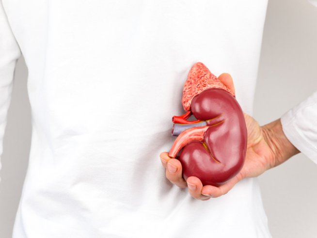 Снимка: Istock