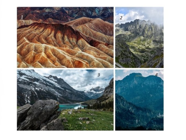 Снимка: unsplash