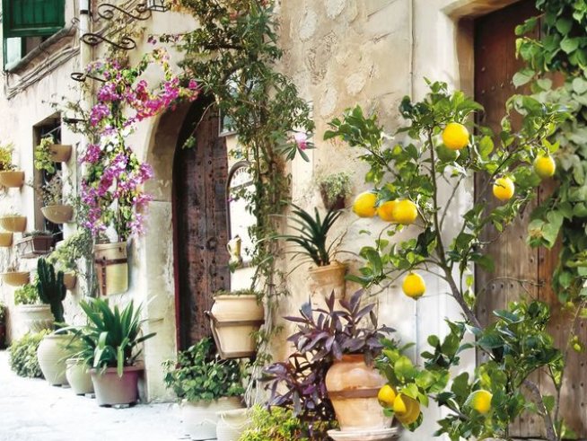 Корица: издателство Хермес