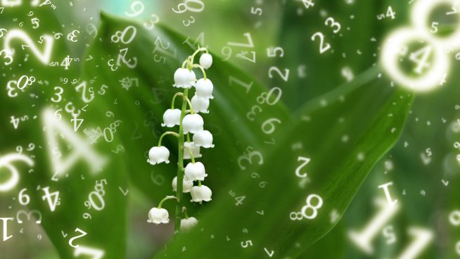 Нумерологична прогноза за 30 май.Снимка: istock