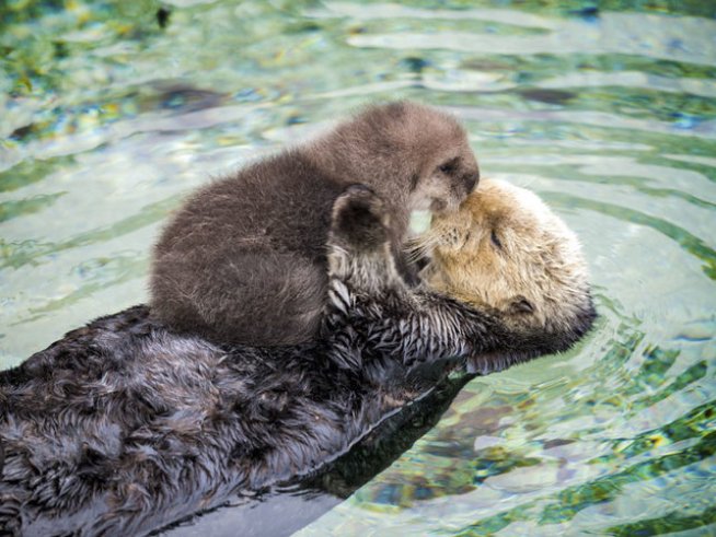 Снимка: BoredPanda; Facebook