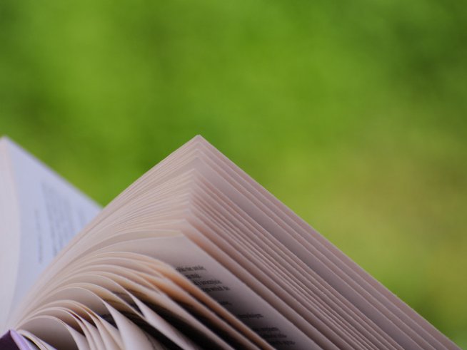 Снимка:freeimages