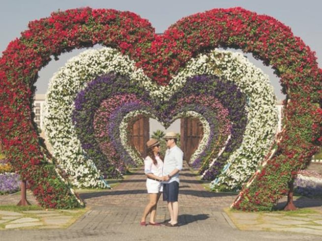 Снимка: pexels