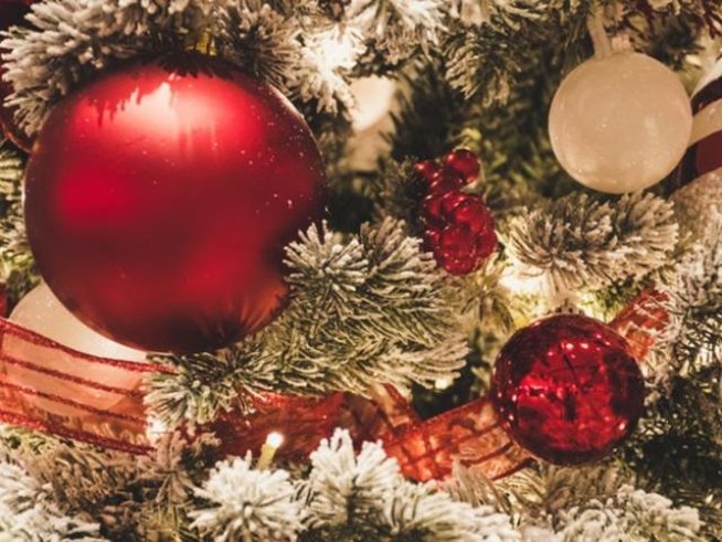 Снимка: pexels