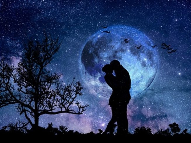 снимка: Pixabay