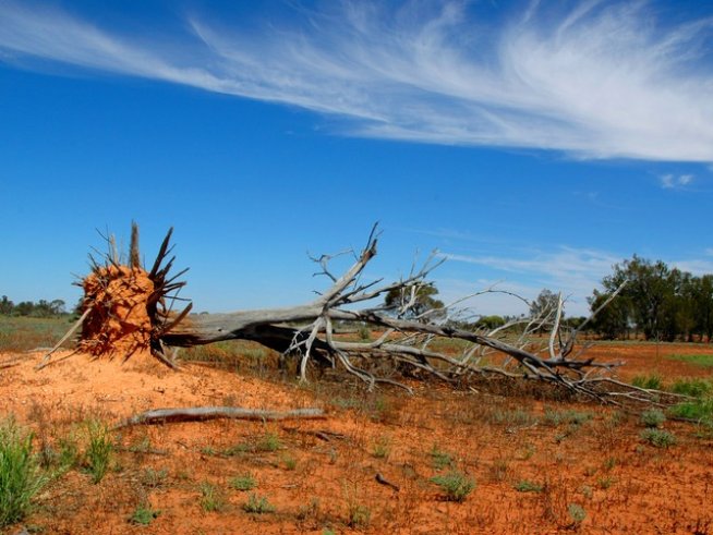 Снимка: freeimages.com