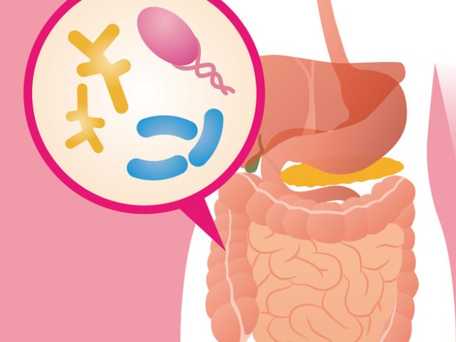 Снимка: istock