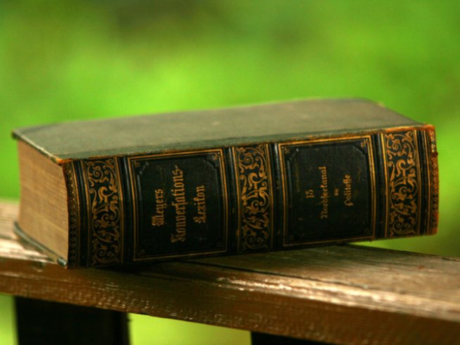 Снимка: freeimages