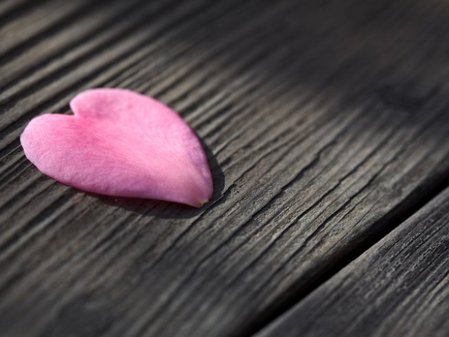 Снимка: Sxc.hu