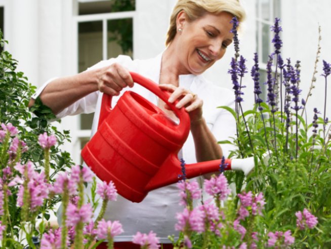 Снимка: Thinkstock