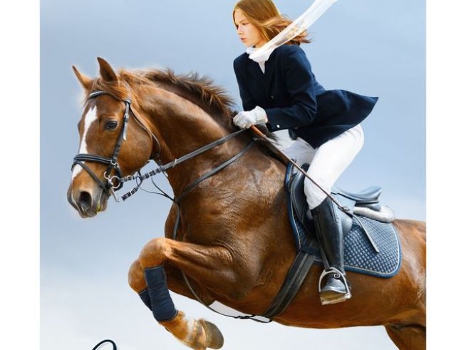 Корица: издателство "Хермес"