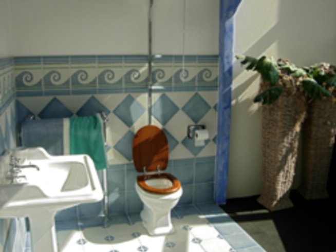 Вредни бактерии в банята