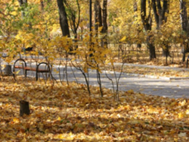 А ти разбираш ли есента?