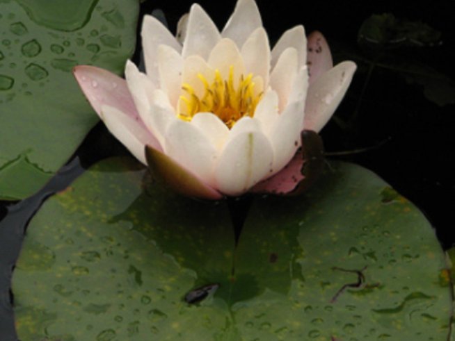 Важни умения за съвременната жена