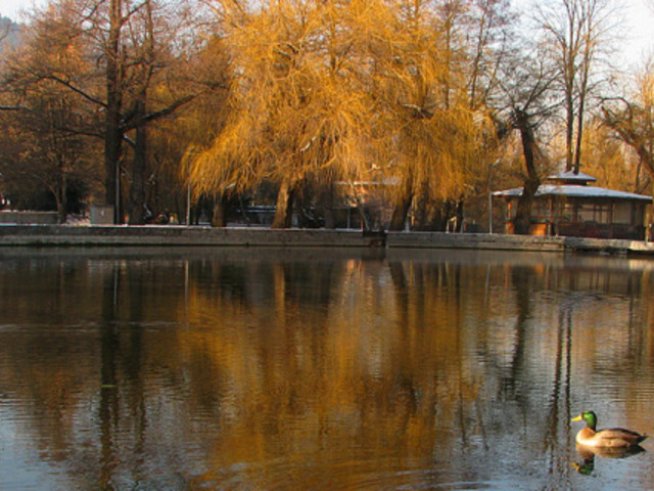 „Поетично кафене“ кани на кафе с поезия