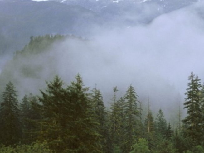 Природните ни паркове отварят врати