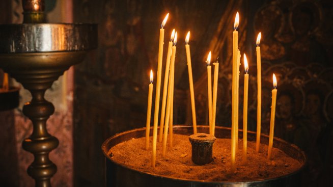 Снимка: iStock