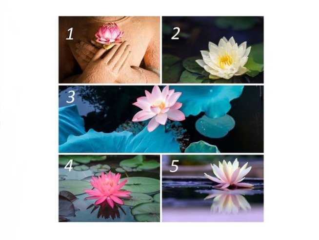 Снимки: istock