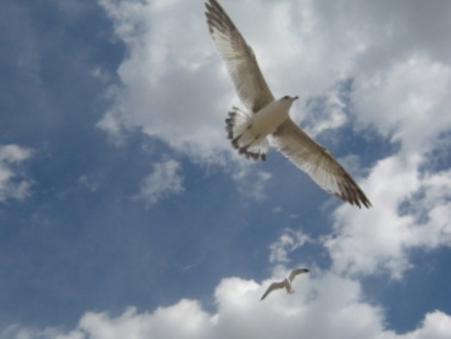 Сънища, които се сбъдват