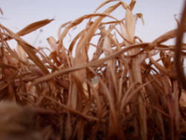 Житен режим топи мазнините и ни връща енергията