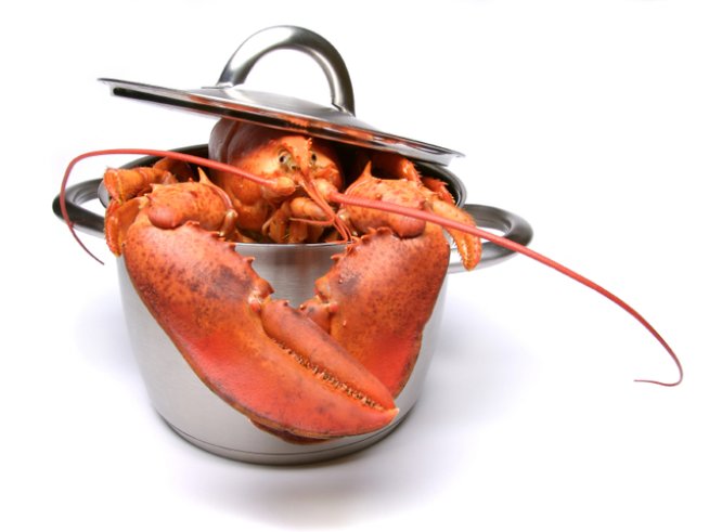 Снимка: iStock