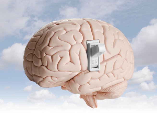 Снимка: thinkstock