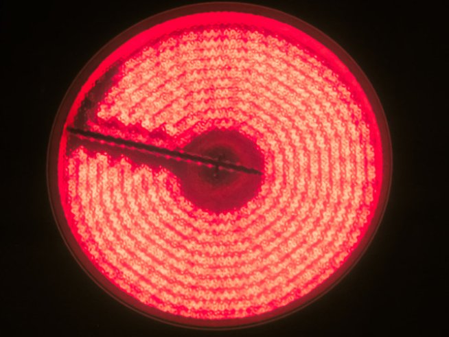 Снимка: Sxc.hu