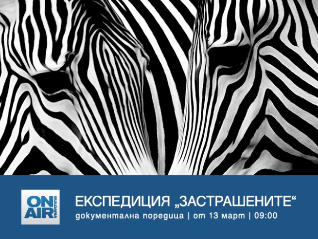 Снимка: Bulgaria ON AIR