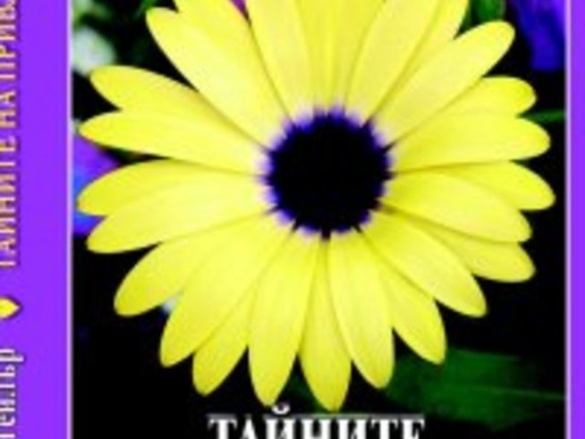 Тайните на привличането – Сандра Ан Тейлър