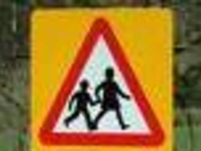 Пешеходните пътеки на път за училище