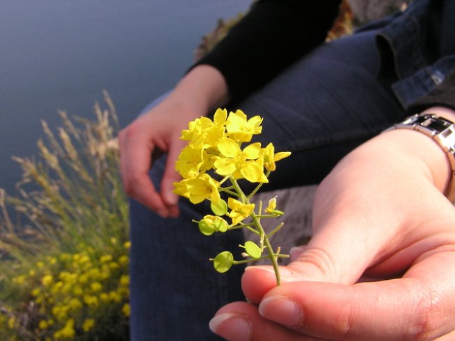 Снимка: Sxc.hu