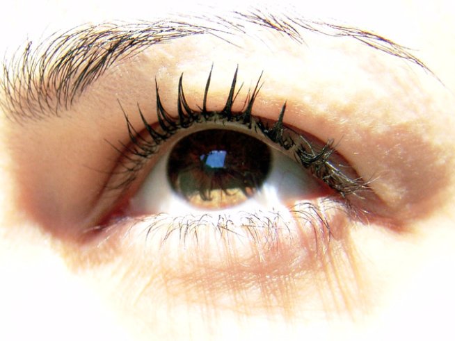 Снимка: Sxc.hu