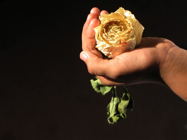 Снимка: Sxc.hu