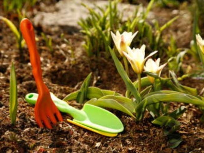 Градинарски фитнес и пролетен шопинг през уикенда