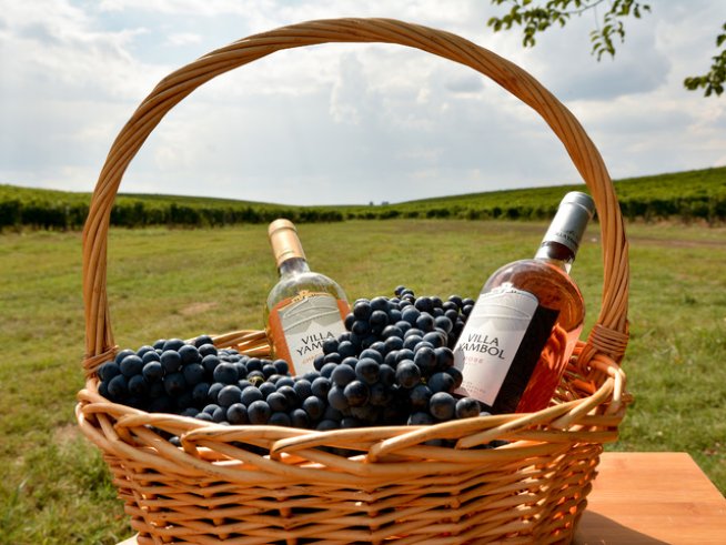 Снимка: "Вила Ямбол".